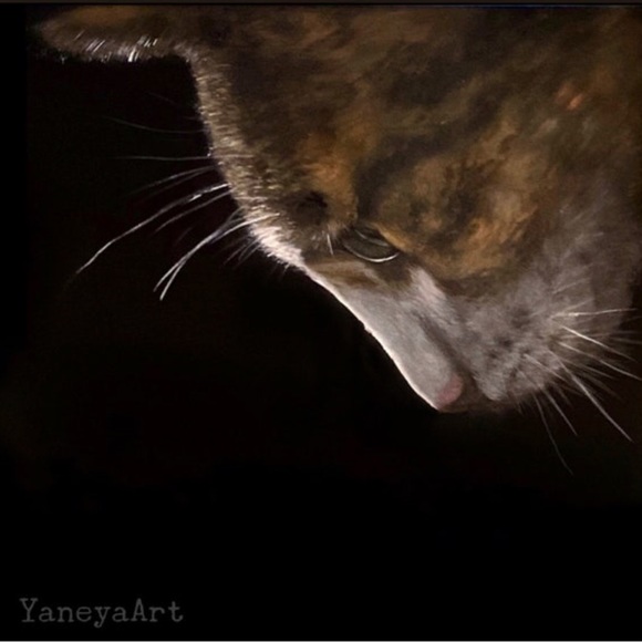 Custom pet portrait, pet memorial, oil painting canvas, dog, cat - Picture 13 of 16